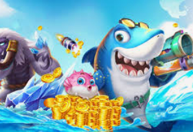 半岛星空足球app下载正式版